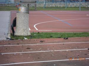 Smetnjak_20__12__2013__2_