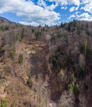 Priprava terena za vodohran Taber