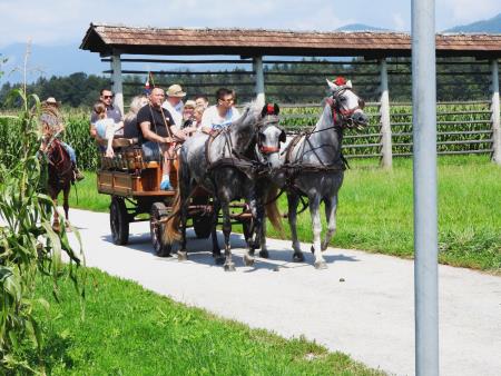 Vprege na poti iz Velesovega proti vasi Lahovče